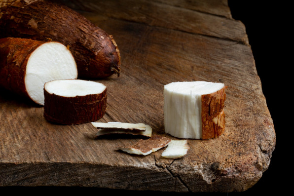 cassava starch production